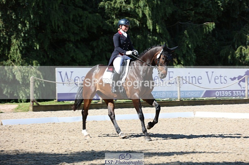 230526-094021-05124 - 357-VIVENDI_HERO-Saffron_Cresswell-WEDTrotUp+DR