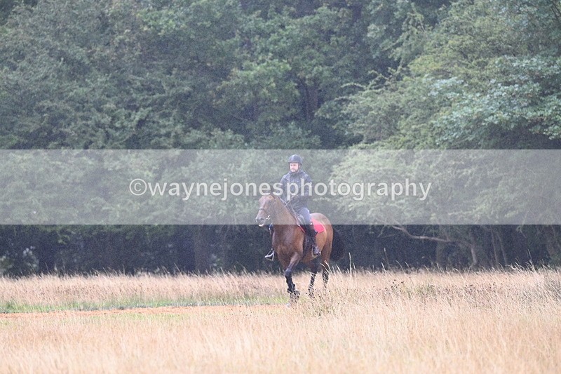 DSC_1159 - Time at Statue 11:54 to 12:12