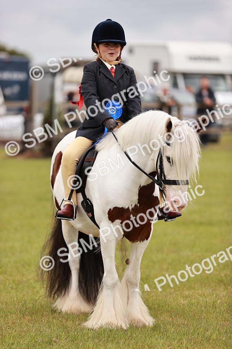 SBM_06247 - Class 39-41 TGCA In Hand and Ridden