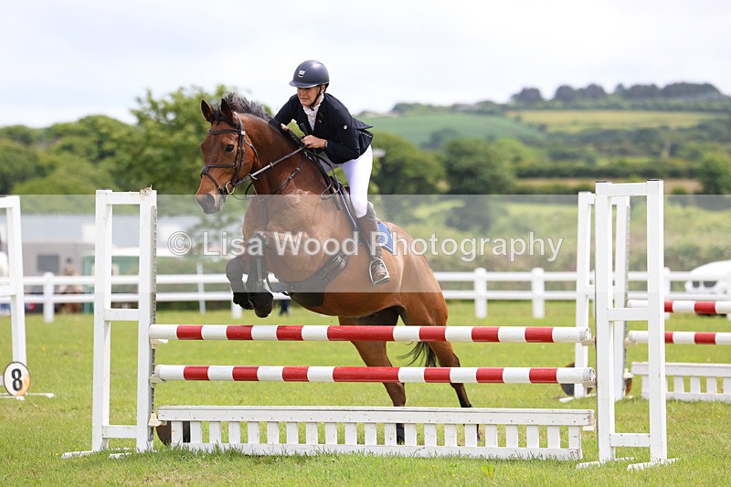 3E7A7277 - Class 13: Senior British Novice/90cm open