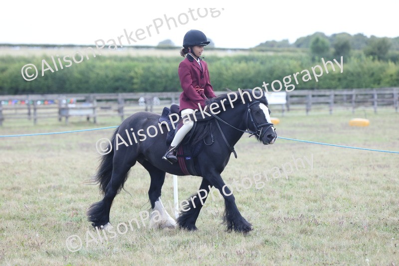 20250831-2363 - Class 16 - Family Pony