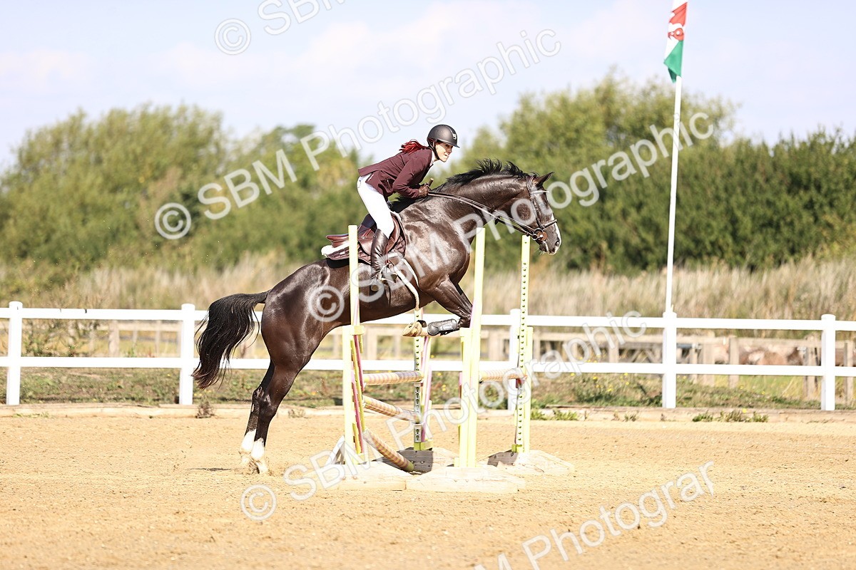 SBM_005739 - Class 9 - Senior British Novice - 90cm
