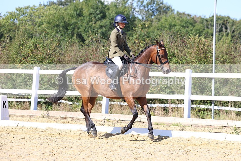 3E7A5711 - Class 10: Riding Horse