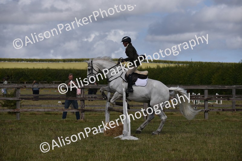 20250831-4115 - Class 13 - Working Hunter Horse or Pony