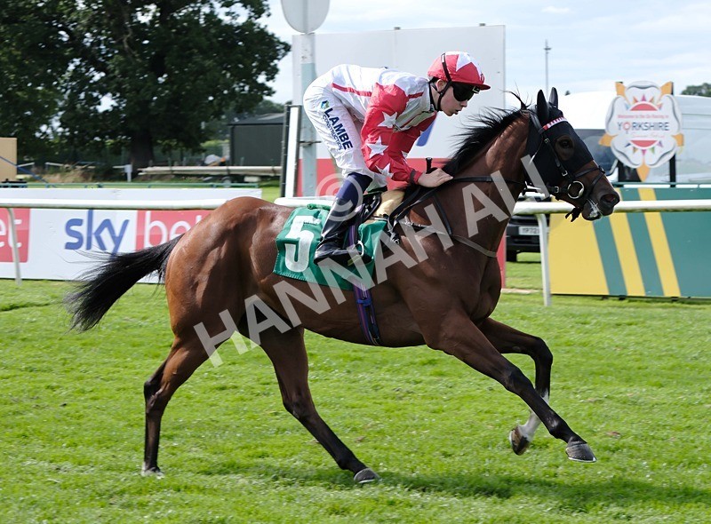 260724-Race 5-Etoile dAlexandre-08 - Race 5