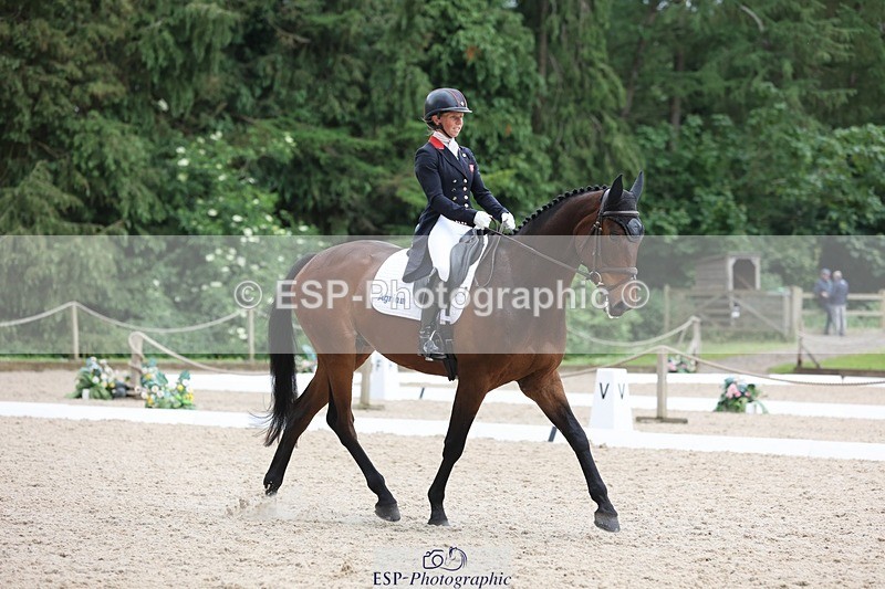 240524-120318-08503 - 274-JACK_OF_CLUBS-Rosalind_Canter