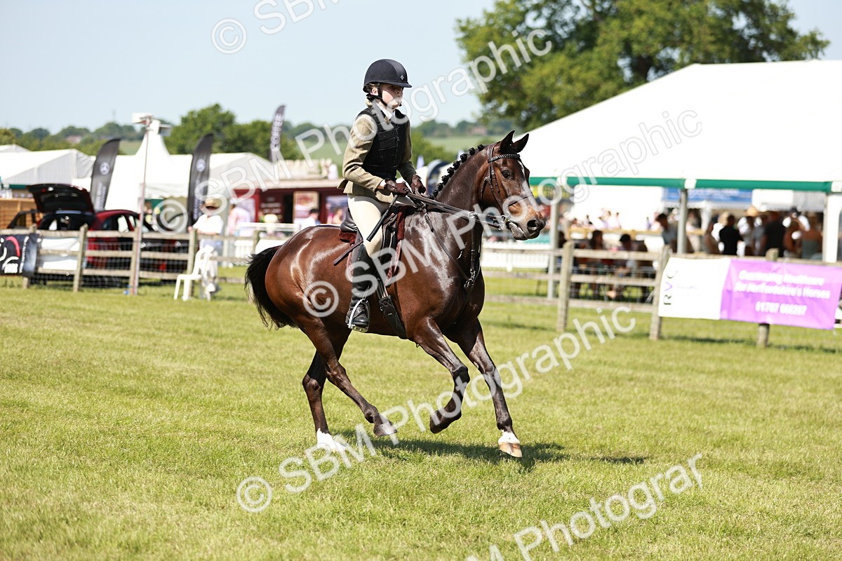 SBM_17575 - Class 112-113 - BSPS LIHS Working Sports Pony