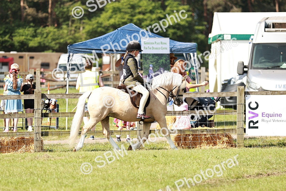 SBM_12671 - Class 106-107 - BSPS LIHS Working Sports Pony