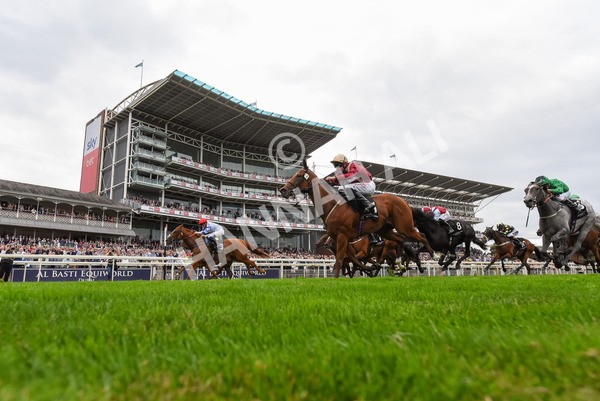 230823-Race 6-Designer-1059 - Race 6 4.45pm IRE Incentive, It Pays To Buy Irish Fillies' Handicap