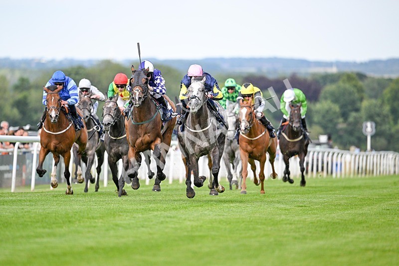 220724-Race 3-Gressington-2720 - Race 3