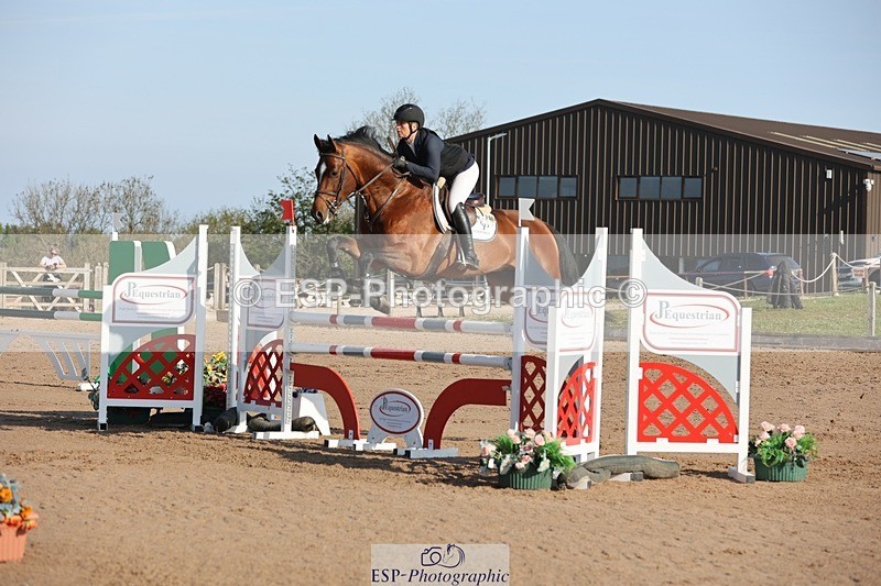 250427-084632-14640 - Cls 28 Young Horse 5yr old