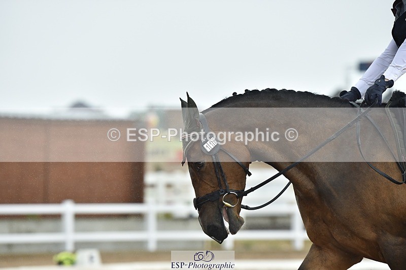 250622-120816-14492 - Quest Cls 31-35 Novice Tests