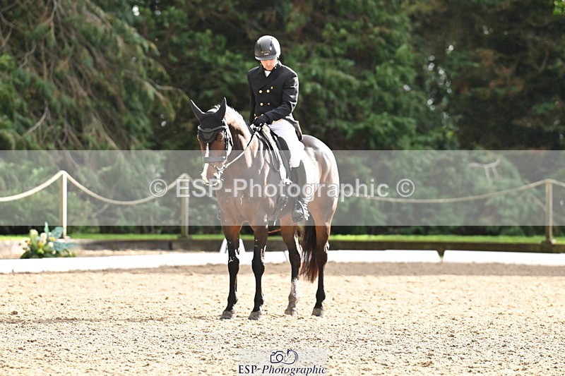 251023A-143011-05237 - C-247-Tom.Griffiths