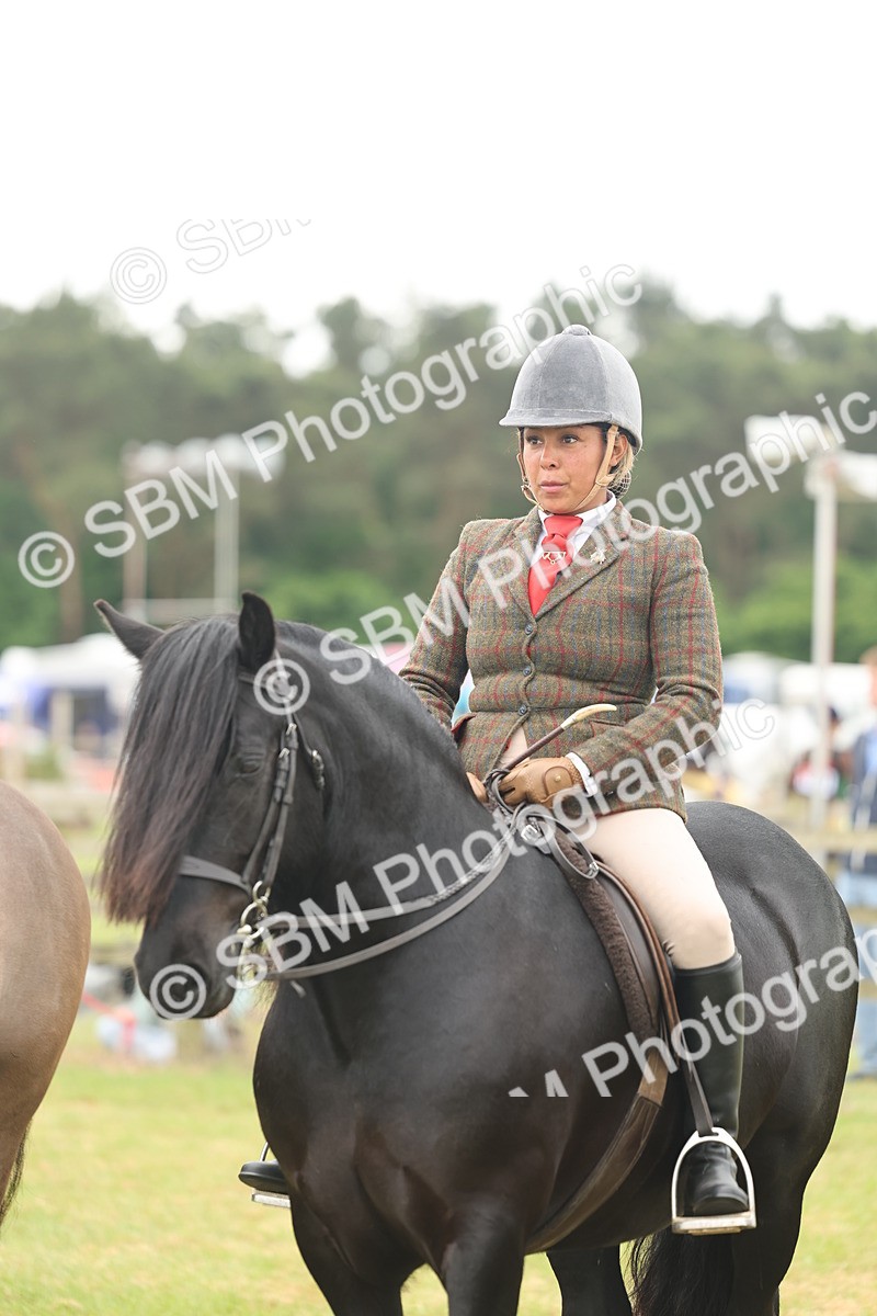 SBM_09027 - Class 78-80 - Ridden M&M Non Welsh Ponies