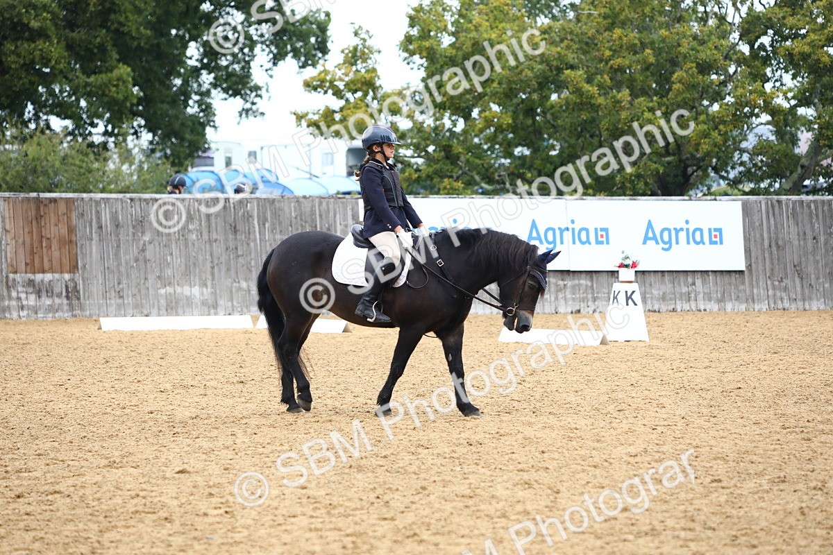 SBM_42724 - D21 - Junior Championship Intro 1