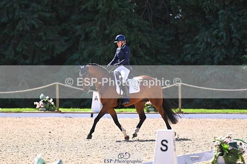 240809-111254-00522 - 133-Dawn.Bear-First.Taylor.Made