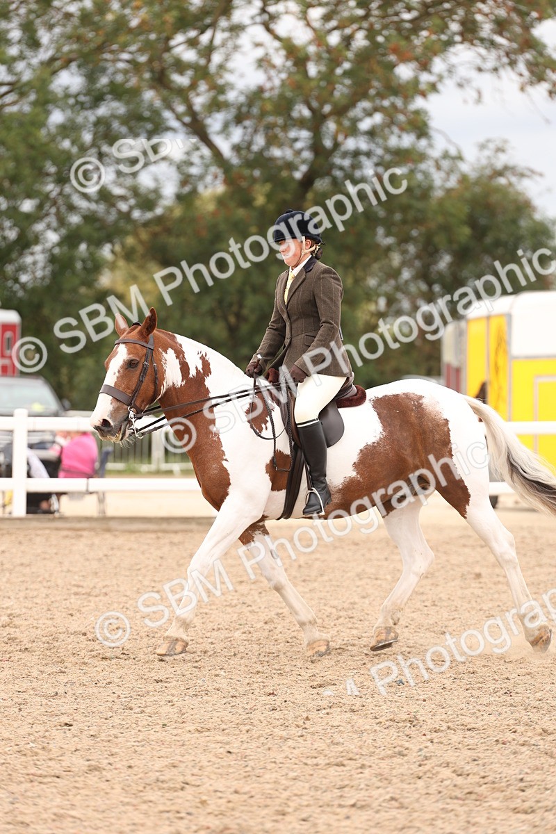 SBM_19559 - Class 215 - Ridden Show cob