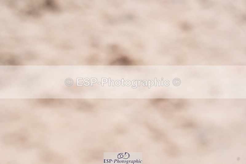 250425-111800-08617 - Cls 38 Amateur Tour