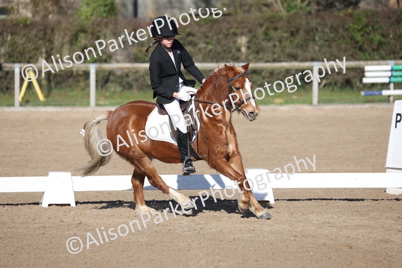 20260214-0364 - Class 4 - Novice 2