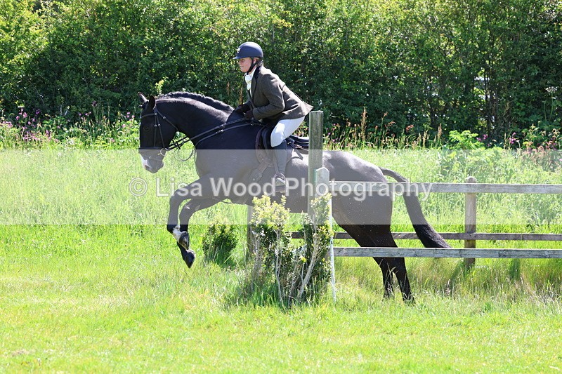 3E7A7008 - Class 30: Novice Working Hunter
