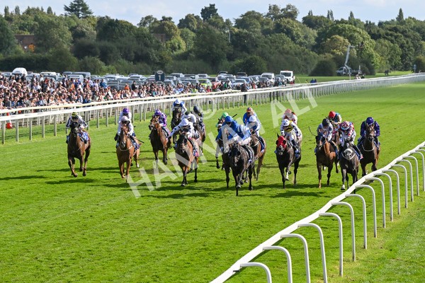 240824-Race 5-Elmonjed-1733 - Race 5 4.10pm Sky Bet Constantine Handicap