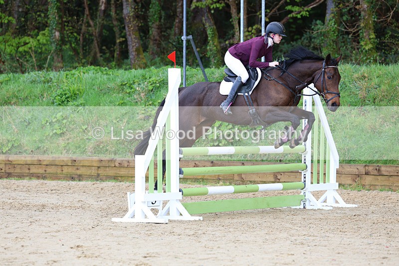 3E7A0666 - Class 4: Senior British Novice/90cm open