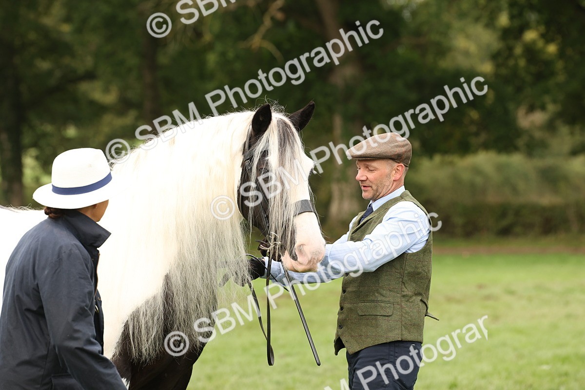 SBM_57514 - S56 - Show Cob in Hand
