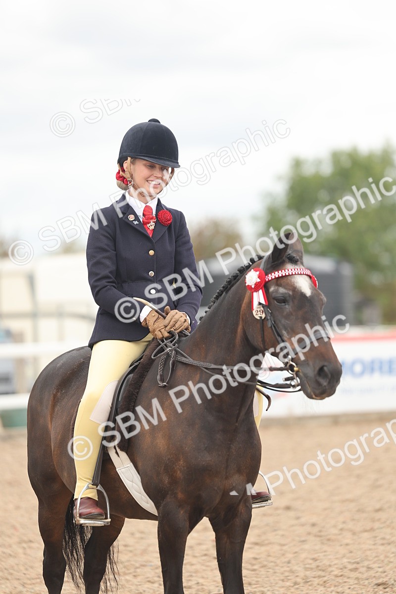 SBM_16048 - Class 311 - Ridden Show pony-Show hunter Pony