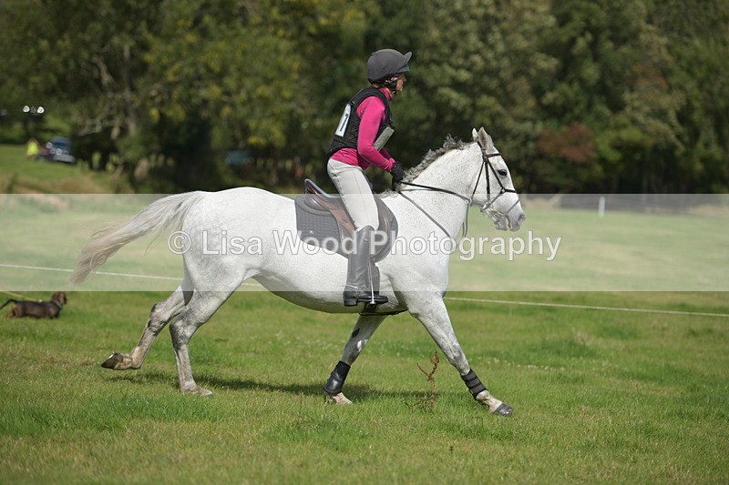 RAY_8775 - Class 2: Trekenning Open: Wall