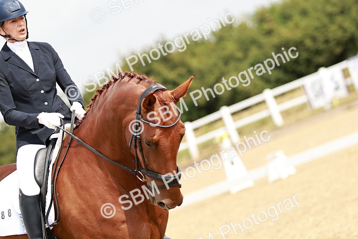 SBM_002721 - Class 6 - Novice 6 Silver - 10.17-11.20
