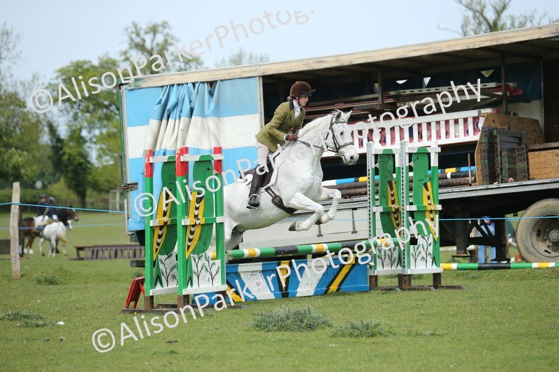 20260426-2059 - Class 15 - Absolute Novice 70cm