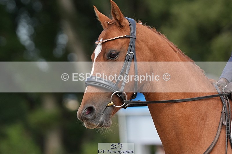 250823A-153307-32310 - PC70 Ride Off