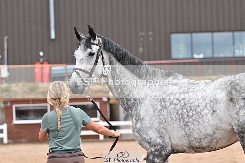 250716-143611-01239 - Trot Up 2.30 to 3.30