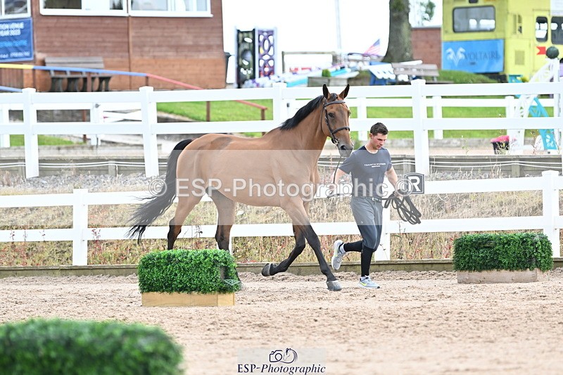 240717A-143620-02139 - Trot Up 2pm to 3pm - This folder is not in time order