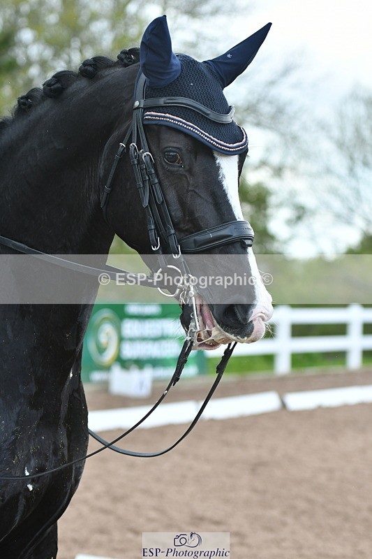 230511A-162752-01377 - BD Cls 18 FEI PSG