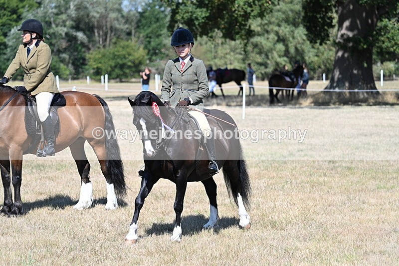 WJ7_4134 - Class 9 Mountain & Moorland Ridden