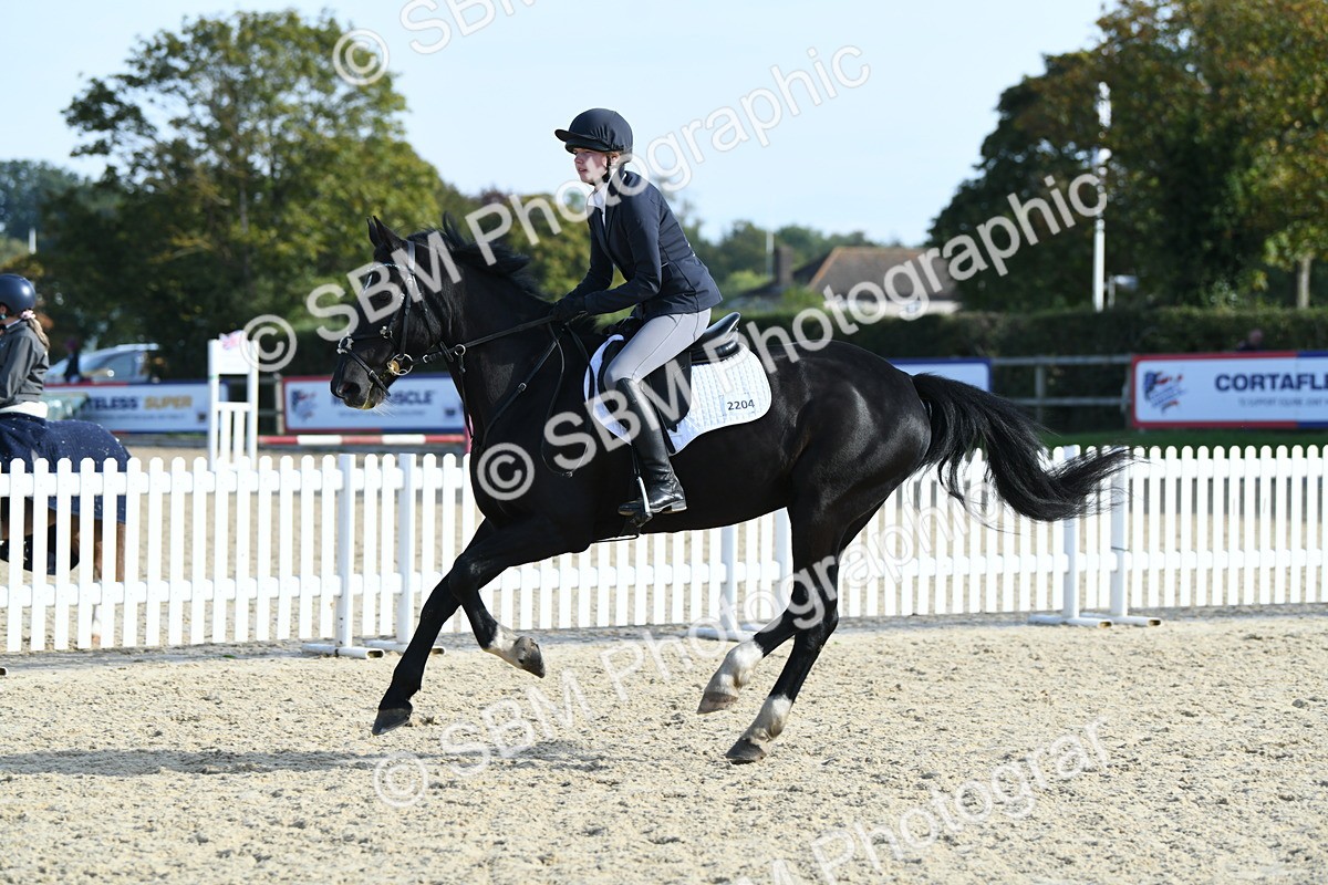 SBM_60572 - j25 - Junior Horse 80cm Championship