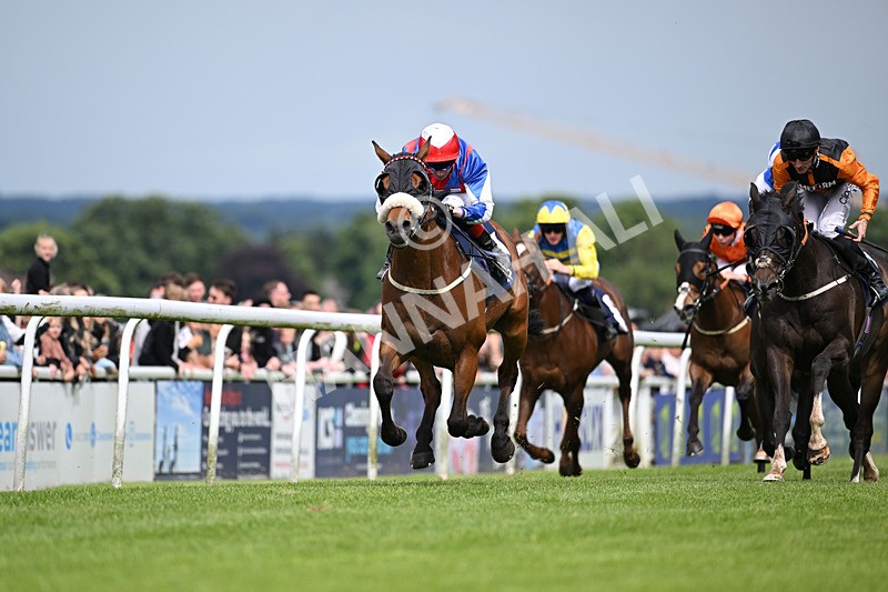 290524-Race 4-Makeen-6504 - Race 4