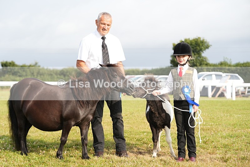 DSC04486 - Classes 44 & 45: NPS M&M Brood Mare and Foal