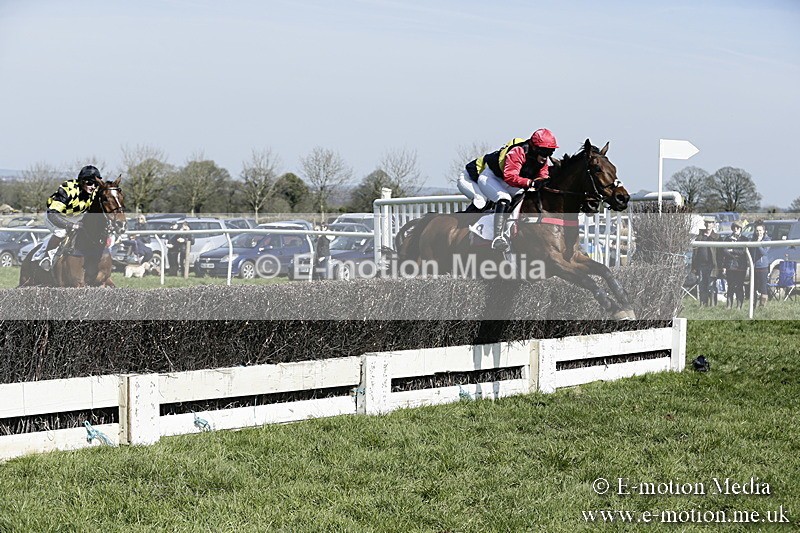 PtP 260317 91 - Mendip Farmers Point-to-Point Ston Easton 26/03/17