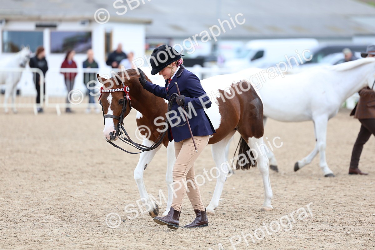 SBM_05973 - Class 29 - IH Veteran Pony