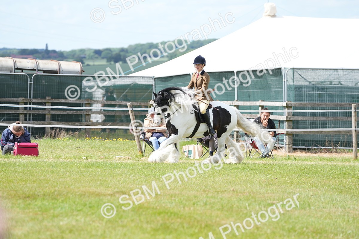 SBM_17245 - Class 107-108 - LIHS BSPS Performance Coloured Horse Pony