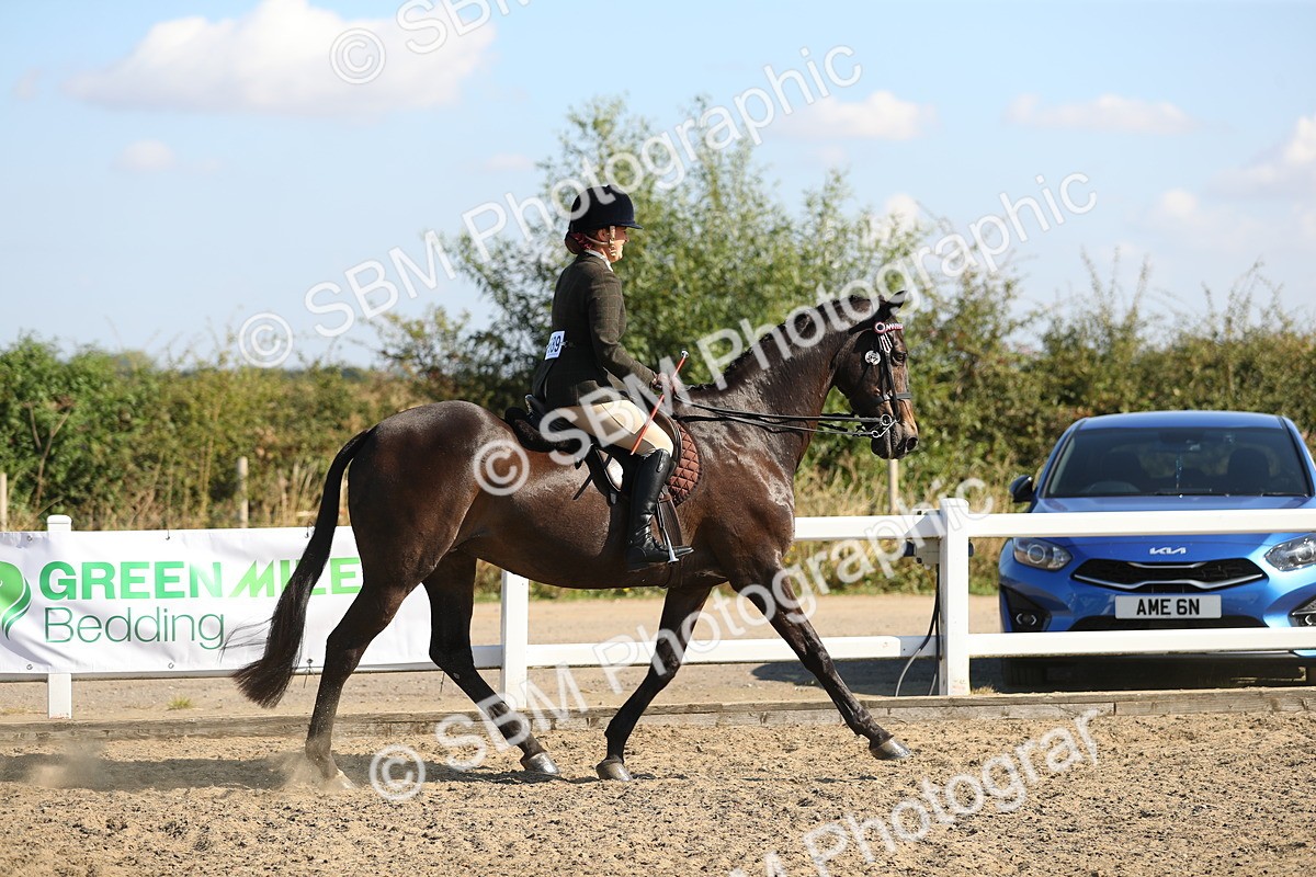 SBM_02198 - Class 43 Ridden Competition Horse/Pony