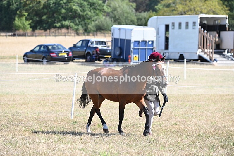 WJ6_4723 - Class 17 Mountain & Moorland