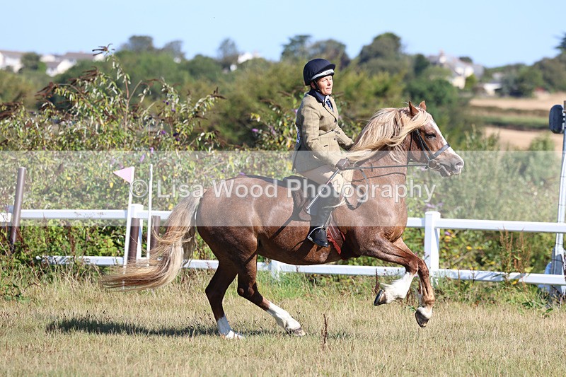3E7A5435 - Class 3: Working Hunter 70cm