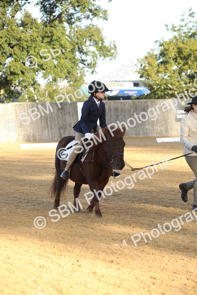 SBM_33619 - D26 - Starers - Lead Rein