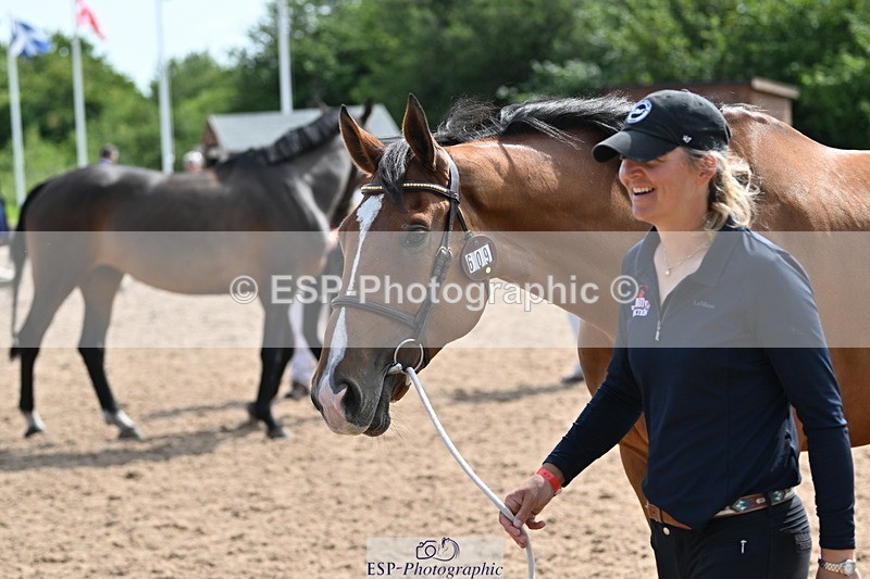 240717A-160300-03295 - Trot Up 4pm to 5pm