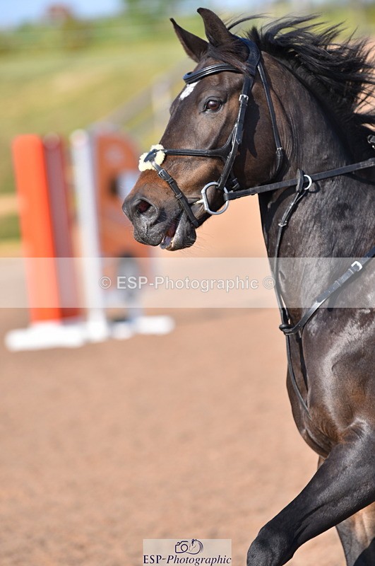 230606A-180053-00265 - 90cm