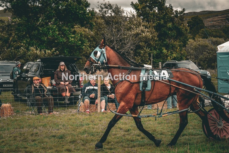 DSCF7373 - Kilnsey Harness racing