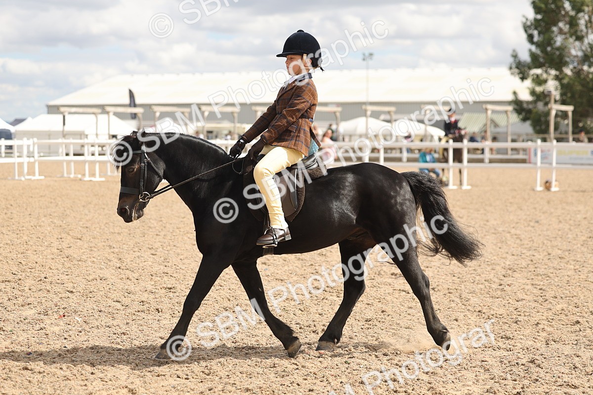 SBM_15878 - Class 310 - First Ridden Pony